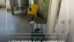 ჭალადიდში რძის პროდუქტების არალეგალურ საწარმოს საქმიანობა შეუჩერდა